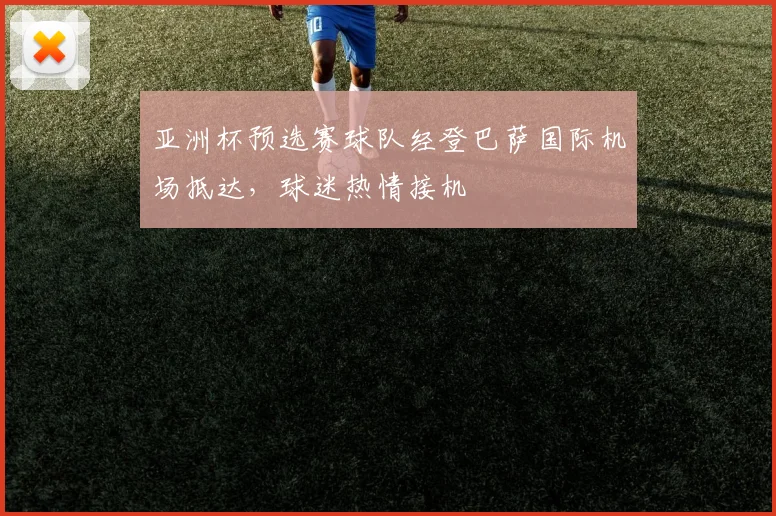 亚洲杯预选赛球队经登巴萨国际机场抵达，球迷热情接机